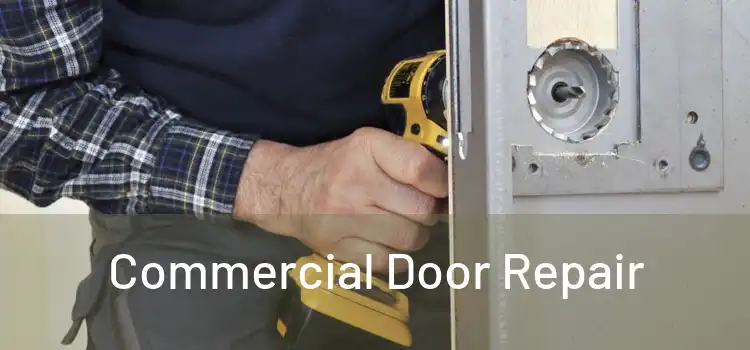  Commercial Door Repair 